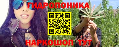 PSILOCYBIN Обнинск