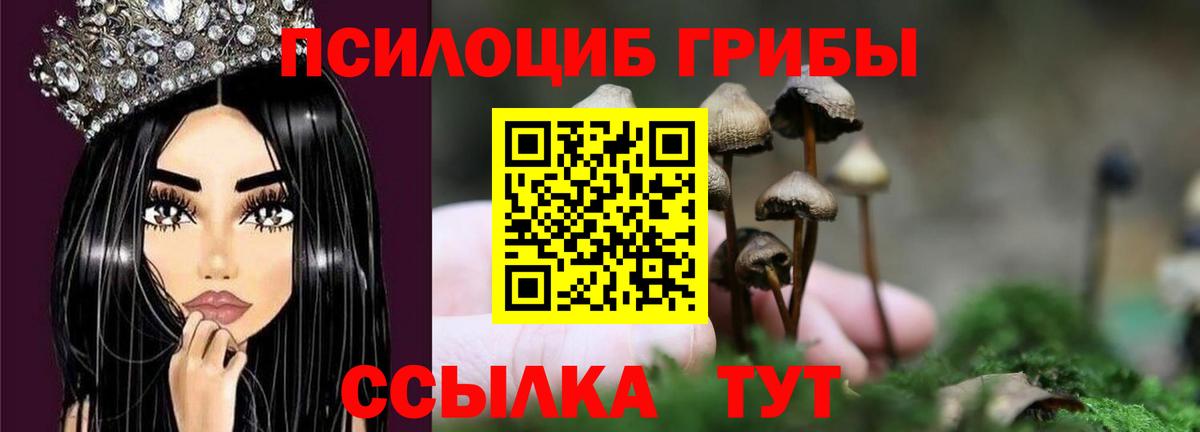 Марихуана  NBOMe  Амфетамин кристаллы  ГЕРОИН  МЕФ кристаллы  Вход с VPN  COCAIN  Сунжа  Меф  ГАШ  Альфа ПВП СОЛЬ кристаллы 